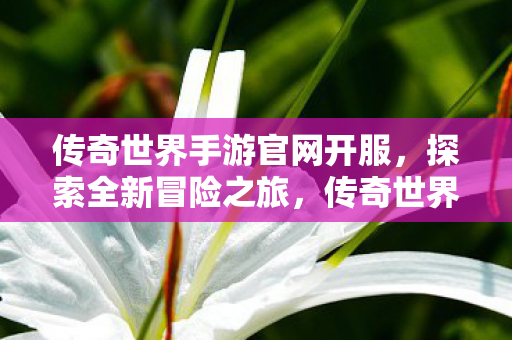 传奇世界手游官网开服,探索全新冒险之旅,传奇世界手游官网新服开启,探索无限冒险之旅 传奇世界手游官网开服,探索全新冒险之旅,传奇世界手游官网新服开启,探索无限冒险之旅