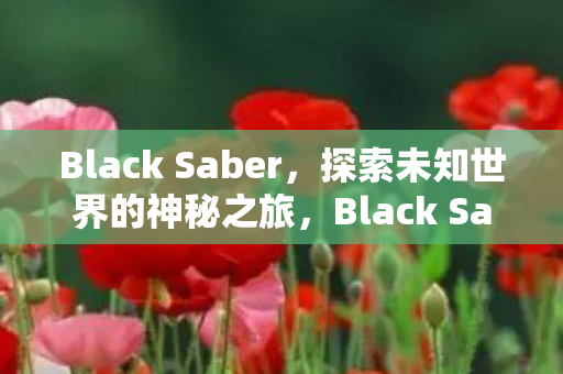 Black Saber,探索未知世界的神秘之旅,Black Saber,探索未知世界的神秘之旅 Black Saber,探索未知世界的神秘之旅,Black Saber,探索未知世界的神秘之旅