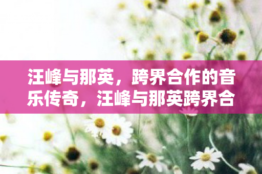 汪峰与那英,跨界合作的音乐传奇,汪峰与那英跨界合作,音乐传奇的诞生 汪峰与那英,跨界合作的音乐传奇,汪峰与那英跨界合作,音乐传奇的诞生