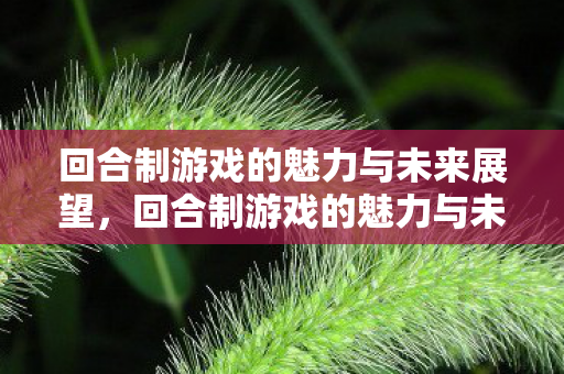回合制游戏的魅力与未来展望,回合制游戏的魅力与未来展望 回合制游戏的魅力与未来展望,回合制游戏的魅力与未来展望