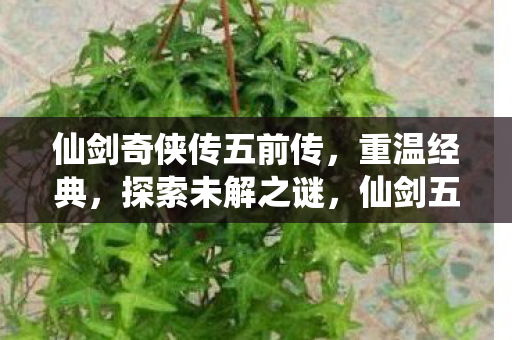 仙剑奇侠传五前传,重温经典,探索未解之谜,仙剑五前传重温经典,探索未解之谜 仙剑奇侠传五前传,重温经典,探索未解之谜,仙剑五前传重温经典,探索未解之谜