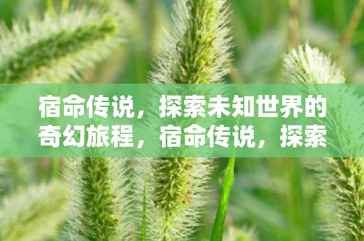 宿命传说,探索未知世界的奇幻旅程,宿命传说,探索未知世界的奇幻旅程 宿命传说,探索未知世界的奇幻旅程,宿命传说,探索未知世界的奇幻旅程