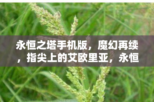 永恒之塔手机版,魔幻再续,指尖上的艾欧里亚,永恒之塔手机版,魔幻再续,指尖上的艾欧里亚 永恒之塔手机版,魔幻再续,指尖上的艾欧里亚,永恒之塔手机版,魔幻再续,指尖上的艾欧里亚