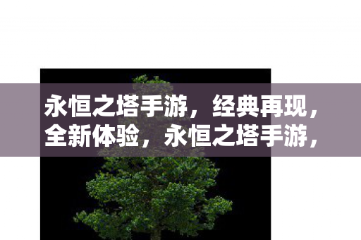 永恒之塔手游图片