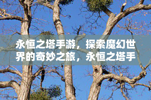 永恒之塔手游,探索魔幻世界的奇妙之旅,永恒之塔手游,魔幻世界的奇妙探险之旅 永恒之塔手游,探索魔幻世界的奇妙之旅,永恒之塔手游,魔幻世界的奇妙探险之旅