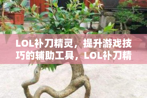 LOL补刀精灵，提升游戏技巧的辅助工具，LOL补刀精灵，助你提升游戏技巧的辅助工具