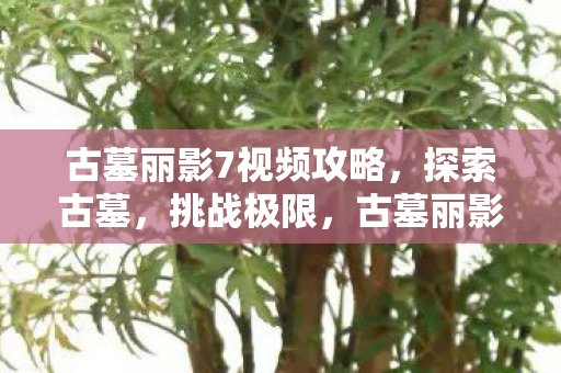 古墓丽影7视频攻略,探索古墓,挑战极限,古墓丽影7,挑战古墓极限 古墓丽影7视频攻略,探索古墓,挑战极限,古墓丽影7,挑战古墓极限