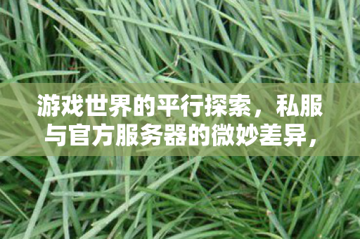 游戏世界的平行探索,私服与官方服务器的微妙差异,游戏世界平行探索,私服与官方服务器的差异 游戏世界的平行探索,私服与官方服务器的微妙差异,游戏世界平行探索,私服与官方服务器的差异