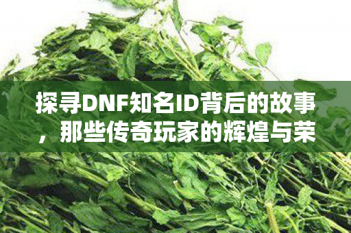 探寻DNF知名ID背后的故事,那些传奇玩家的辉煌与荣耀,DNF传奇玩家,探寻知名ID背后的辉煌与荣耀 探寻DNF知名ID背后的故事,那些传奇玩家的辉煌与荣耀,DNF传奇玩家,探寻知名ID背后的辉煌与荣耀