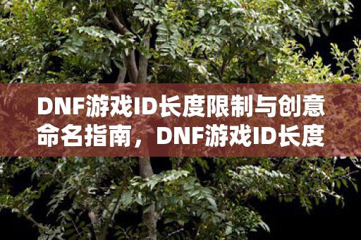 DNF游戏ID长度限制与创意命名指南,DNF游戏ID长度限制与创意命名全攻略 DNF游戏ID长度限制与创意命名指南,DNF游戏ID长度限制与创意命名全攻略