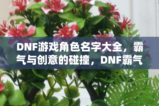 DNF游戏角色名字大全,霸气与创意的碰撞,DNF霸气创意角色名大全 DNF游戏角色名字大全,霸气与创意的碰撞,DNF霸气创意角色名大全