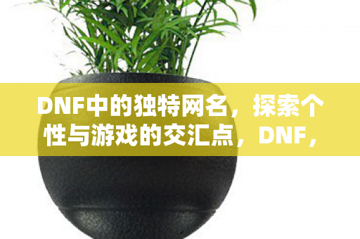 DNF中的独特网名,探索个性与游戏的交汇点,DNF,独特网名展现个性与游戏的交汇点 DNF中的独特网名,探索个性与游戏的交汇点,DNF,独特网名展现个性与游戏的交汇点