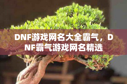 DNF游戏网名大全霸气,DNF霸气游戏网名精选 DNF游戏网名大全霸气,DNF霸气游戏网名精选