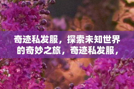 探索未知世界的奇妙冒险之旅图片
