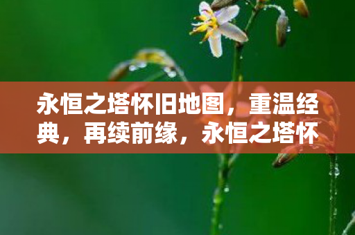 永恒之塔怀旧地图,重温经典,再续前缘,永恒之塔怀旧地图,重温经典,再续前缘 永恒之塔怀旧地图,重温经典,再续前缘,永恒之塔怀旧地图,重温经典,再续前缘