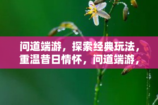 探索经典玩法图片