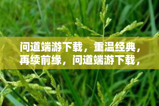 问道端游下载图片