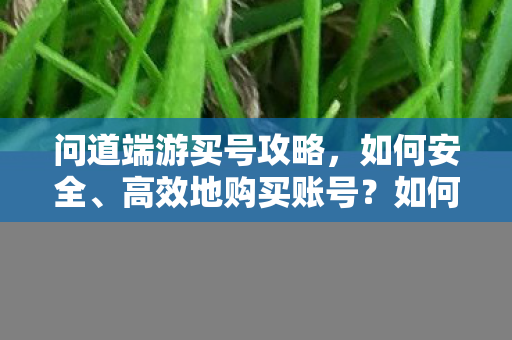 如何安全高效地购买问道端游账号图片