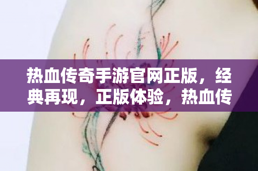 热血传奇手游官网正版，经典再现，正版体验，热血传奇手游官网正版，经典再现，正版体验