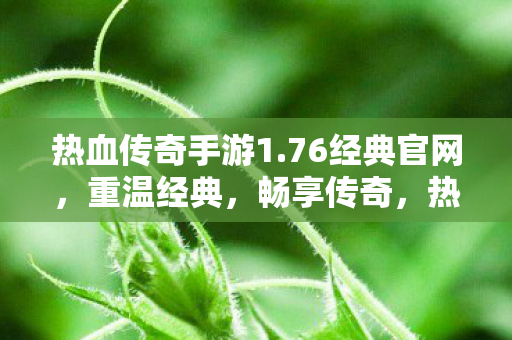 热血传奇手游1.76经典官网，重温经典，畅享传奇，热血传奇手游1.76经典官网，重温经典，畅享传奇之旅