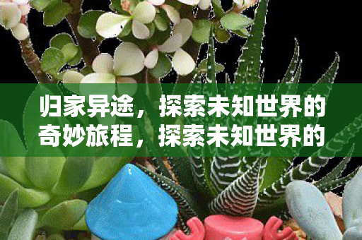 归家异途，探索未知世界的奇妙旅程，探索未知世界的奇妙旅程，归家异途