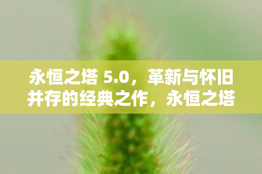 永恒之塔 5.0,革新与怀旧并存的经典之作,永恒之塔5.0,经典与创新的完美融合 永恒之塔 5.0,革新与怀旧并存的经典之作,永恒之塔5.0,经典与创新的完美融合