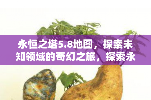 永恒之塔5.8地图,探索未知领域的奇幻之旅,探索永恒之塔5.8地图,奇幻之旅开启 永恒之塔5.8地图,探索未知领域的奇幻之旅,探索永恒之塔5.8地图,奇幻之旅开启
