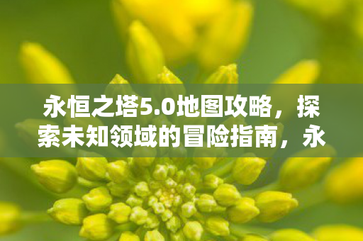 永恒之塔5.0地图攻略,探索未知领域的冒险指南,永恒之塔5.0地图全攻略,解锁未知领域的冒险指南 永恒之塔5.0地图攻略,探索未知领域的冒险指南,永恒之塔5.0地图全攻略,解锁未知领域的冒险指南