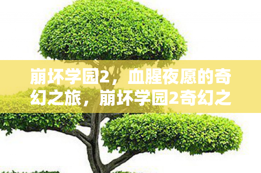 崩坏学园2，血腥夜愿的奇幻之旅，崩坏学园2奇幻之旅，血腥夜愿的冒险
