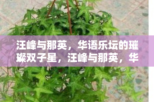 汪峰与那英，华语乐坛的璀璨双子星，汪峰与那英，华语乐坛的璀璨双子星
