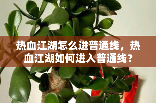 热血江湖怎么进普通线,热血江湖如何进入普通线? 热血江湖怎么进普通线,热血江湖如何进入普通线?