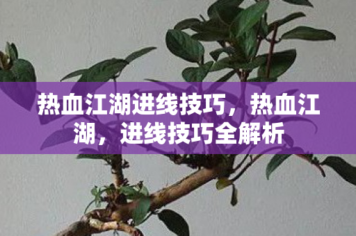 热血江湖进线技巧,热血江湖,进线技巧全解析 热血江湖进线技巧,热血江湖,进线技巧全解析