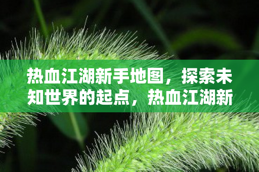 热血江湖新手地图,探索未知世界的起点,热血江湖新手地图,探索未知世界的起点 热血江湖新手地图,探索未知世界的起点,热血江湖新手地图,探索未知世界的起点