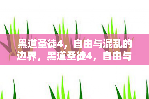 黑道圣徒4,自由与混乱的边界,黑道圣徒4,自由与混乱的边界 黑道圣徒4,自由与混乱的边界,黑道圣徒4,自由与混乱的边界