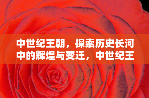 中世纪王朝，探索历史长河中的辉煌与变迁，中世纪王朝，历史长河中的辉煌与变迁