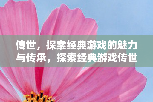 传世,探索经典游戏的魅力与传承,探索经典游戏传世魅力与传承之路 传世,探索经典游戏的魅力与传承,探索经典游戏传世魅力与传承之路