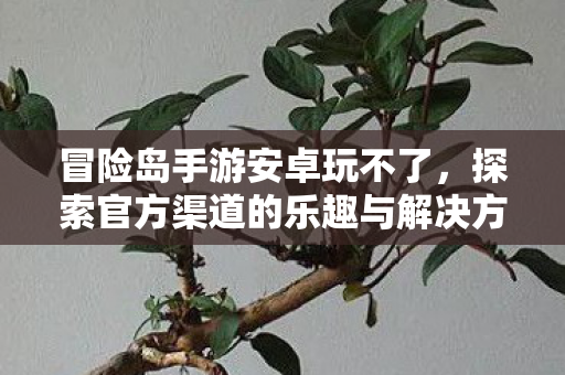 冒险岛手游安卓玩不了,探索官方渠道的乐趣与解决方案,冒险岛手游安卓无法运行?探索官方渠道与解决方案 冒险岛手游安卓玩不了,探索官方渠道的乐趣与解决方案,冒险岛手游安卓无法运行?探索官方渠道与解决方案