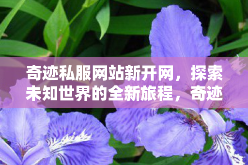 奇迹私服网站新开网,探索未知世界的全新旅程,奇迹私服网站新开网,开启探索未知世界的全新旅程 奇迹私服网站新开网,探索未知世界的全新旅程,奇迹私服网站新开网,开启探索未知世界的全新旅程