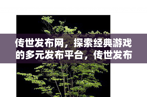 传世发布网,探索经典游戏的多元发布平台,传世发布网,探索经典游戏的多元发布平台 传世发布网,探索经典游戏的多元发布平台,传世发布网,探索经典游戏的多元发布平台