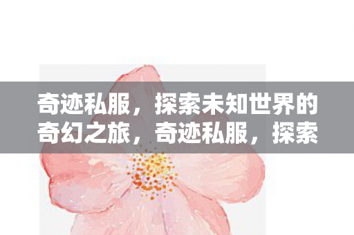 奇迹私服，探索未知世界的奇幻之旅，奇迹私服，探索未知世界的奇幻之旅