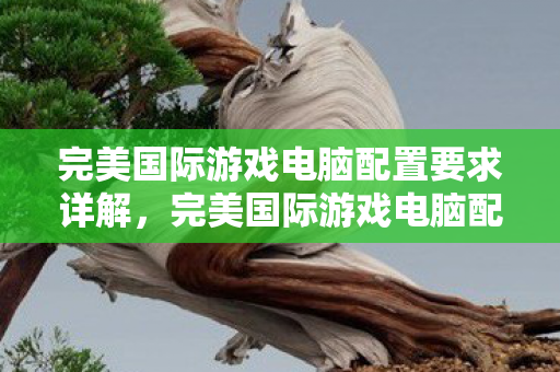 完美国际游戏电脑配置要求详解,完美国际游戏电脑配置要求全解析 完美国际游戏电脑配置要求详解,完美国际游戏电脑配置要求全解析
