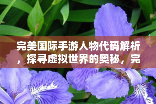 完美国际手游人物代码解析图片