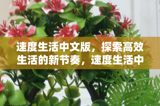 速度生活中文版,探索高效生活的新节奏,速度生活中文版,探索高效生活新节奏 速度生活中文版,探索高效生活的新节奏,速度生活中文版,探索高效生活新节奏