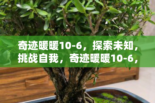 奇迹暖暖10-6,探索未知,挑战自我,奇迹暖暖10-6,探索未知,挑战自我之旅 奇迹暖暖10-6,探索未知,挑战自我,奇迹暖暖10-6,探索未知,挑战自我之旅