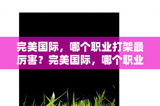 完美国际，哪个职业打架最厉害？完美国际，哪个职业打架最厉害？