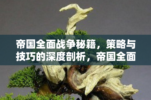 帝国全面战争秘籍,策略与技巧的深度剖析,帝国全面战争,策略与技巧的终极指南 帝国全面战争秘籍,策略与技巧的深度剖析,帝国全面战争,策略与技巧的终极指南