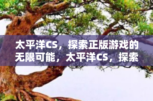 探索正版游戏的无限可能图片