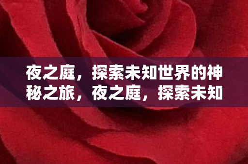 夜之庭,探索未知世界的神秘之旅,夜之庭,探索未知世界的神秘之旅 夜之庭,探索未知世界的神秘之旅,夜之庭,探索未知世界的神秘之旅