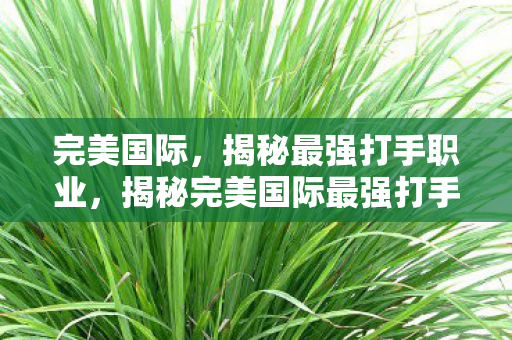 完美国际,揭秘最强打手职业,揭秘完美国际最强打手职业,谁才是战场上的终极杀手? 完美国际,揭秘最强打手职业,揭秘完美国际最强打手职业,谁才是战场上的终极杀手?