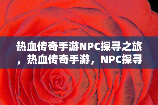 热血传奇手游NPC探寻之旅,热血传奇手游,NPC探寻之旅 热血传奇手游NPC探寻之旅,热血传奇手游,NPC探寻之旅